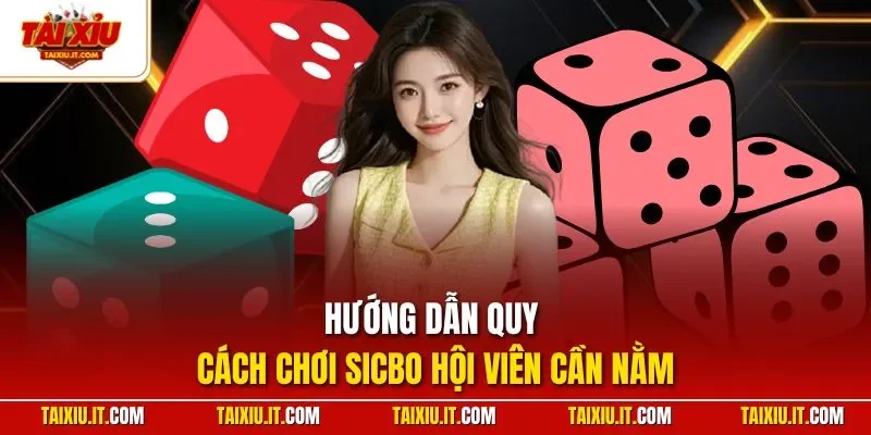 Hướng dẫn quy cách chơi Sicbo hội viên cần nằm