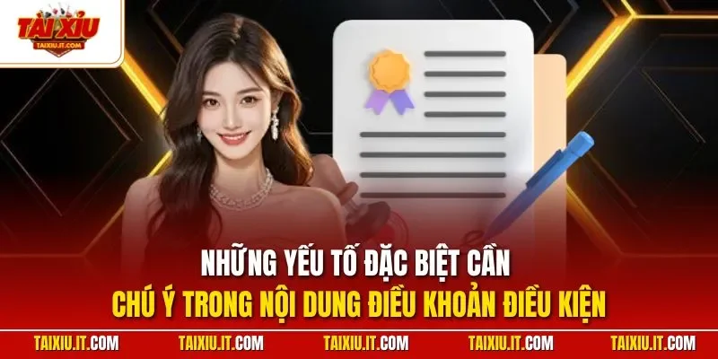Những yếu tố đặc biệt cần chú ý trong nội dung điều khoản điều kiện 