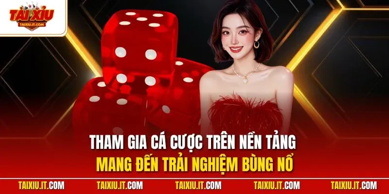 Tham gia cá cược trên nền tảng mang đến trải nghiệm bùng nổ